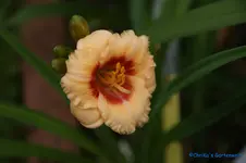 comp_DSC05164.webp