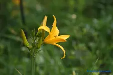 comp_DSC05165.webp