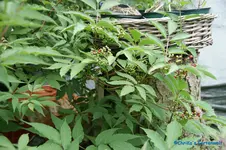 comp_DSC05167.webp