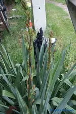 comp_DSC05168.webp