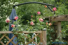 comp_DSC05170.webp