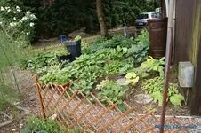 comp_DSC05169.webp