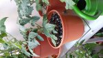 20160619_180152.jpg