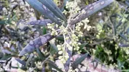 20160619_183513.webp