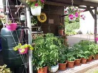 20160619_163451.webp