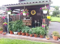 20160619_163240.webp
