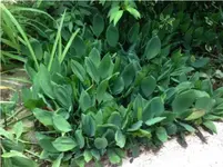 Screenshot (13).webp