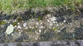 20160618_143343.webp