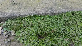 20160618_143048.webp