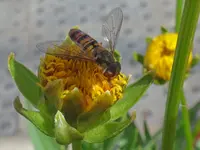 092.webp