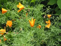012.webp