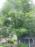 027.webp