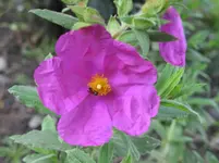025.webp