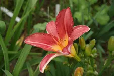 DSC05176.webp