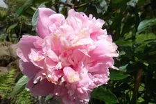 SAM_1602.webp