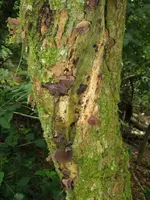 001_576x768.webp