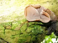 002_1024x768.webp