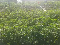 20160620_182121.jpg