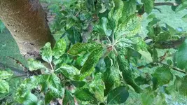 IMG_20160528_195548.webp