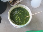 IMG_0141.jpg