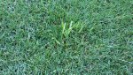 20160621_061022.jpg