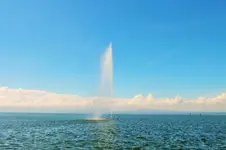 DSCF6411 (2).webp