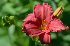 1sierramadre.webp