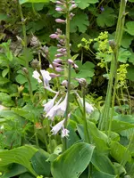 DSCN6479.jpg