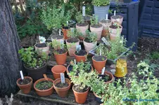 comp_DSC05179.webp