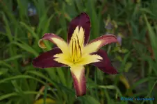 comp_DSC05184.webp