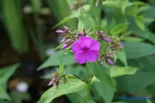 comp_DSC05181.webp