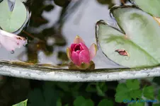 comp_DSC05182.webp