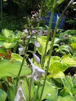 001_576x768.JPG