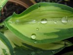 006_1024x768.JPG
