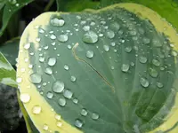 004_1024x768.webp