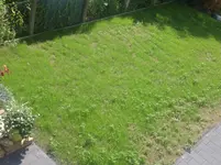 c.21 (2).webp