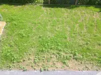 c.21 (3).webp