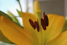 118.JPG
