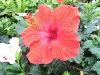 Bilda1247.webp
