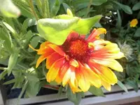 Bilda854.webp