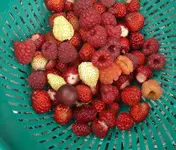 k-P1110517.webp
