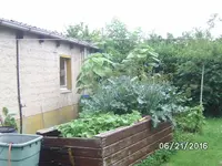 Hochbeet.webp