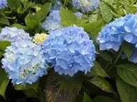 Bilda1208.webp