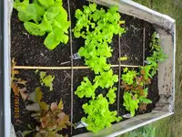 IMG_1169.webp IMG_1169.webp