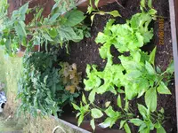 IMG_1170.webp IMG_1170.webp