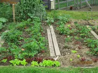 IMG_1179.webp IMG_1179.webp