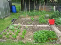 IMG_1180.webp IMG_1180.webp