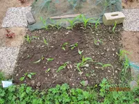 IMG_1175.webp IMG_1175.webp