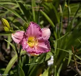 IMG_1523-2.webp