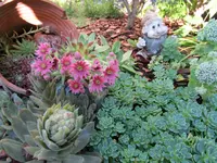 IMG_0672.webp